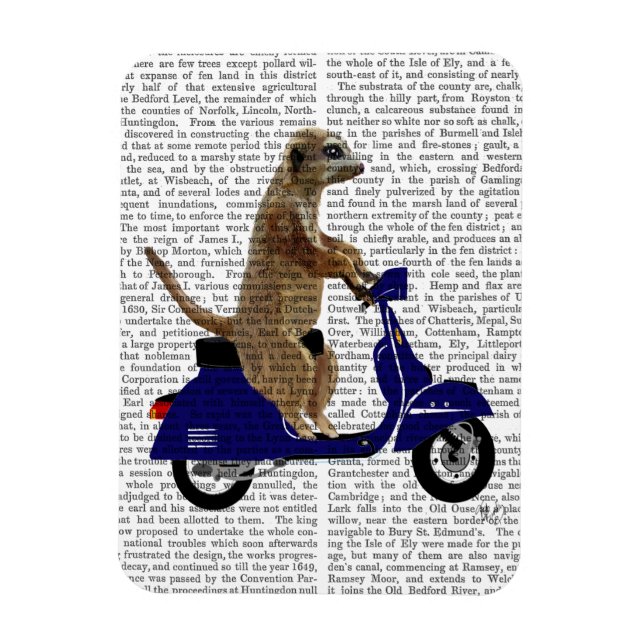 Ímã Meerkat em Blue Moped Escuro (Vertical)