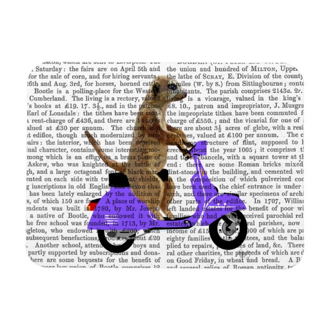 Ímã Meerkat em Lilac Moped (Horizontal)