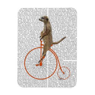 Ímã Meerkat em Orange Penny Farthing