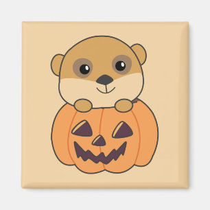 Imã Meerkat Em Pumpkin Cute Animal Feliz Mães De Hallo