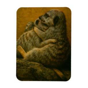 Ímã Meerkat Embrace - Heart Wildlife Art Impressão