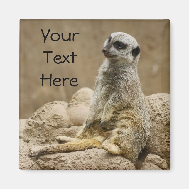 Imã Meerkat Magnet (Frente)