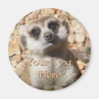 Imã Meerkat Magnet