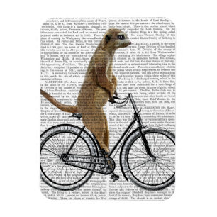 Ímã Meerkat na Bicicleta
