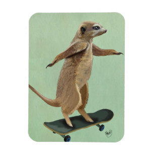 Ímã Meerkat no skate 3
