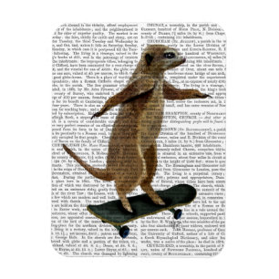 Ímã Meerkat No Skateboard 2