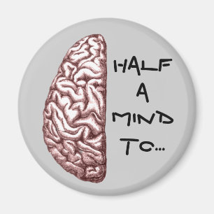 Imã Meio ímã mental