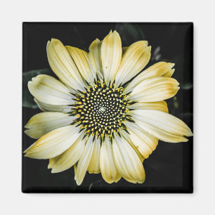 Imã Mel Amarelo de Flor de Mel
