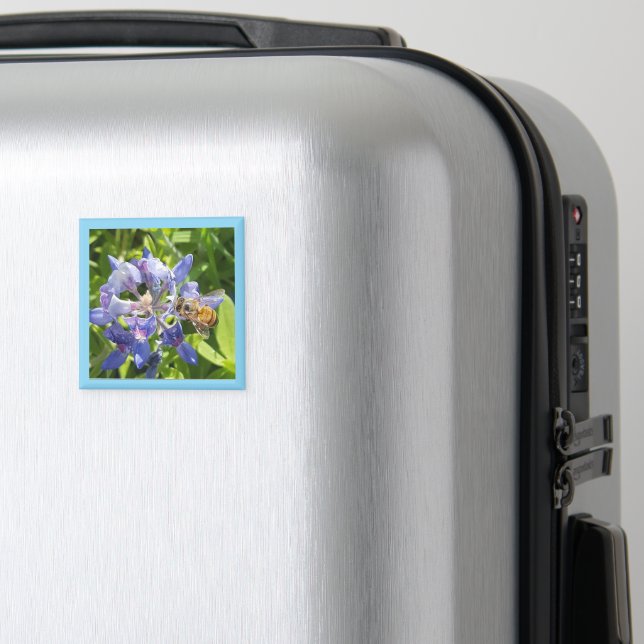 Imã Mel de abelha (In Situ (Luggage))