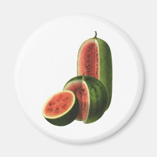 Imã Melancias Vintage Altas Redondas, Fruta de Aliment