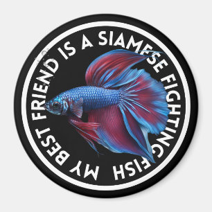 Imã Melhor Amigo Azul Betta Fish