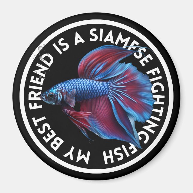 Imã Melhor Amigo Azul Betta Fish (Frente)