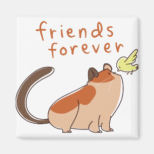 Imã Melhor Amigo do Hamster e do Pássaro