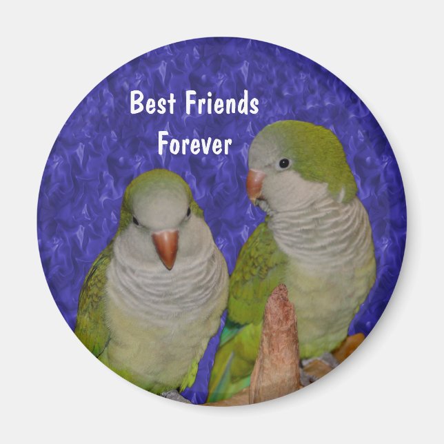 Imã Melhor Amigos, Quaker Parrots, Magnet (Frente)
