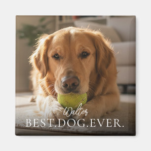 Imã Melhor Cachorro de Todos Nome e Foto do Seu Pet