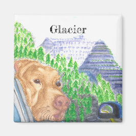 Imã Melhor Corrida Nunca