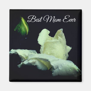 Imã Melhor Mãe Alguma Vez White Rosebud Flor