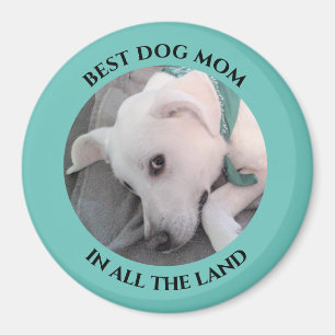 Imã Melhor Mãe de Cão Foto de Mães Azuis de Cachorr