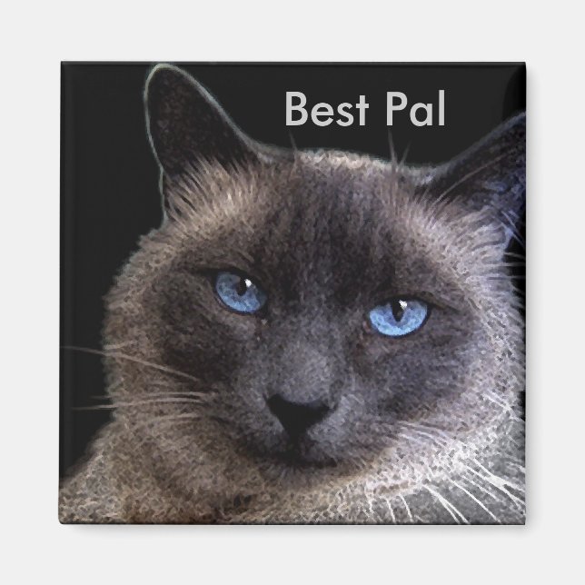 Imã "MELHOR PAL" Gato Siamês (Frente)