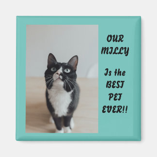 Imã Melhor Pet De Fotografia Personalizada Nunca