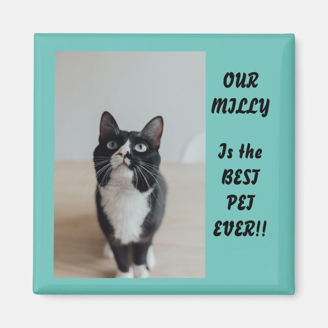 Imã Melhor Pet De Fotografia Personalizada Nunca (Frente)
