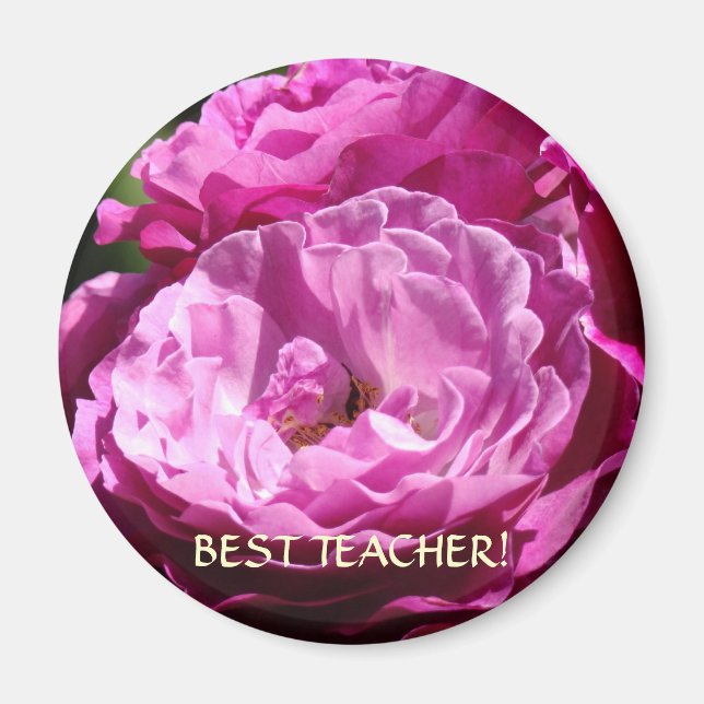 Imã MELHOR PROFESSOR Presente Rosa Ímã Rosas Natal (Frente)