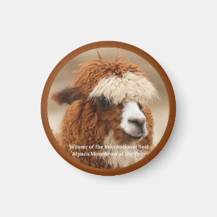 Imã Melhor Sobrancelha Única de Alpaca
