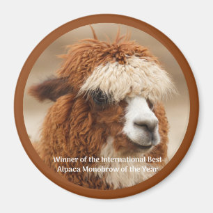 Imã Melhor Sobrancelha Única de Alpaca