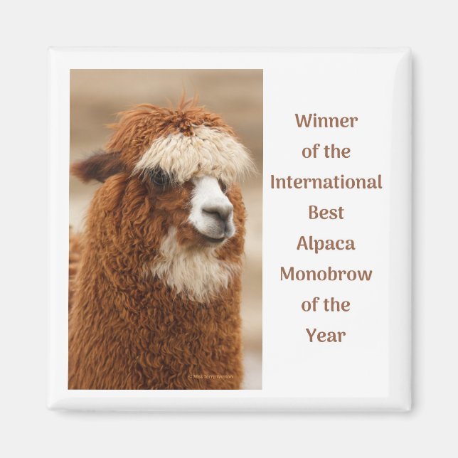 Imã Melhor Sobrancelha Única de Alpaca (Frente)