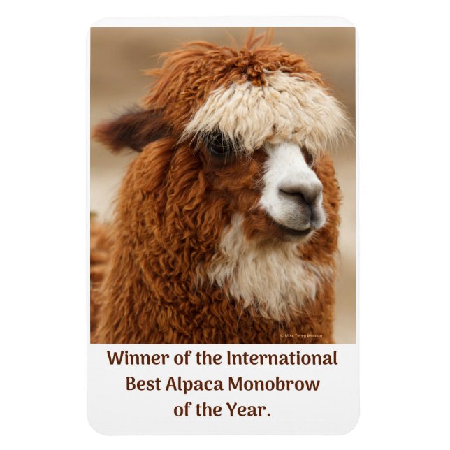 Ímã Melhor Sobrancelha Única de Alpaca (Vertical)