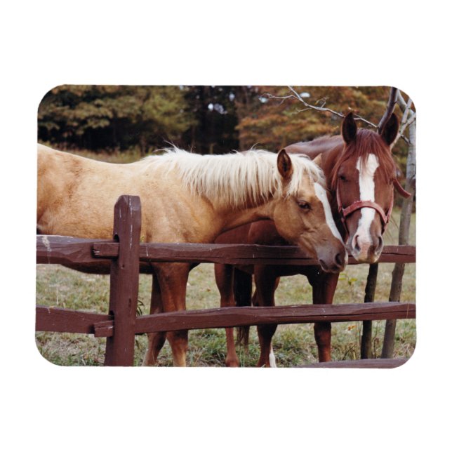 Ímã Melhores Amigos (Horizontal)