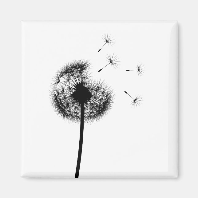 Imã Melhores Desejos do Magnete Dandelion Negro (Frente)