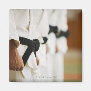 Imã Membros de um Dojo do judo alinhado