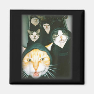 Imã Meme de Gangue de Gato Engraçado Caótico Gatos Des