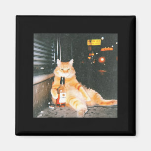 Imã Meme de Gato Bêbado Antigo na Rua Noturna Gato Eng