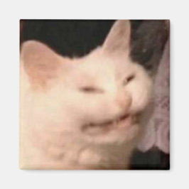 Imã Meme de gato Cringe