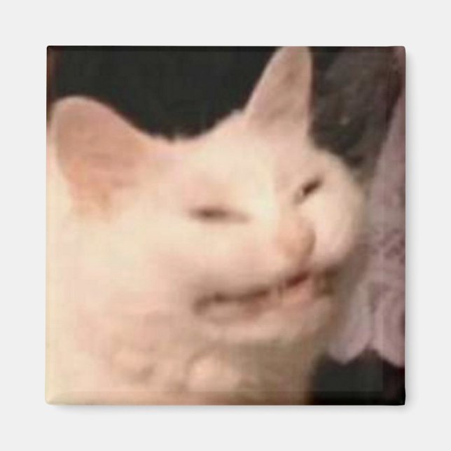 Imã Meme de gato Cringe (Frente)