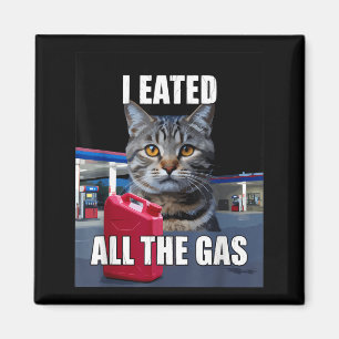 Imã Meme de Gato Engraçado Eu Comi Quis Todo O Gás Eng