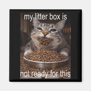 Imã Meme de gato faminto engraçado antes da caixa de a