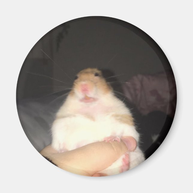 Imã Meme de hamster feio (Frente)