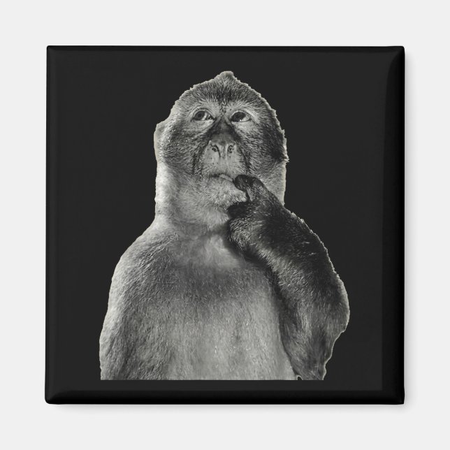 Imã Meme de Macaco Engraçado com Estilo de Arte de Hum (Frente)