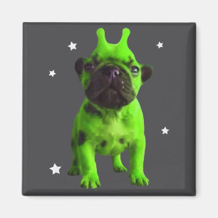 Imã Meme do Cão Alienígena Retro Cão Bobo Espaço Vinta