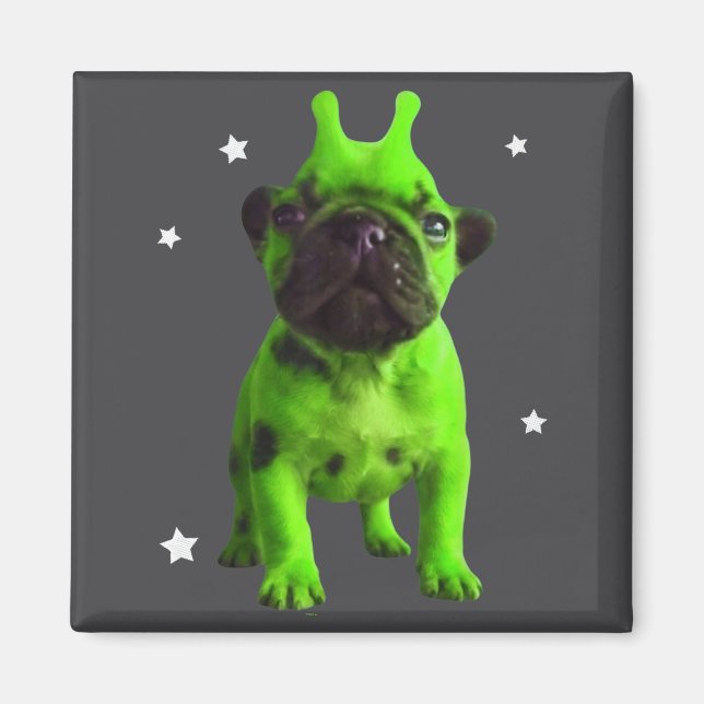 Imã Meme do Cão Alienígena Retro Cão Bobo Espaço Vinta (Frente)