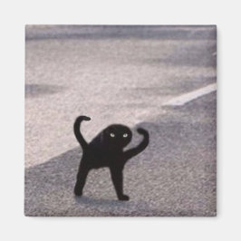 Imã Meme do gato amaldiçoado