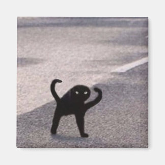 Imã Meme do gato amaldiçoado