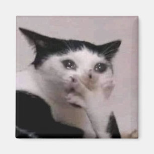 Imã Meme do Gato Gasp