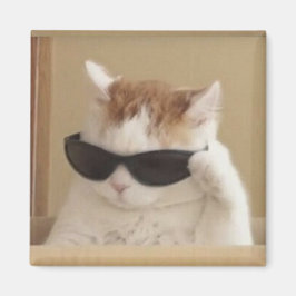 Imã Meme do gato legal