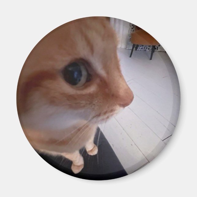 Imã Meme do gato olhando de lado (Frente)