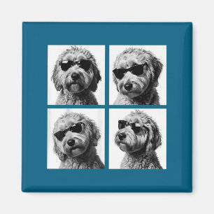 Imã Meme engraçado do Goldendoodle Foto de cabine de f