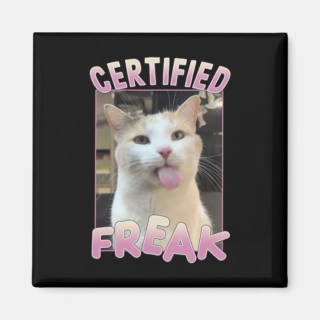 Imã Memória De Gato De Gato De Gato De Cachorro Com Ce (Frente)